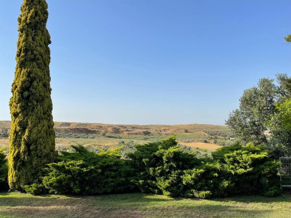 Villa Ba'Gefen Karmei Yosef المظهر الخارجي الصورة