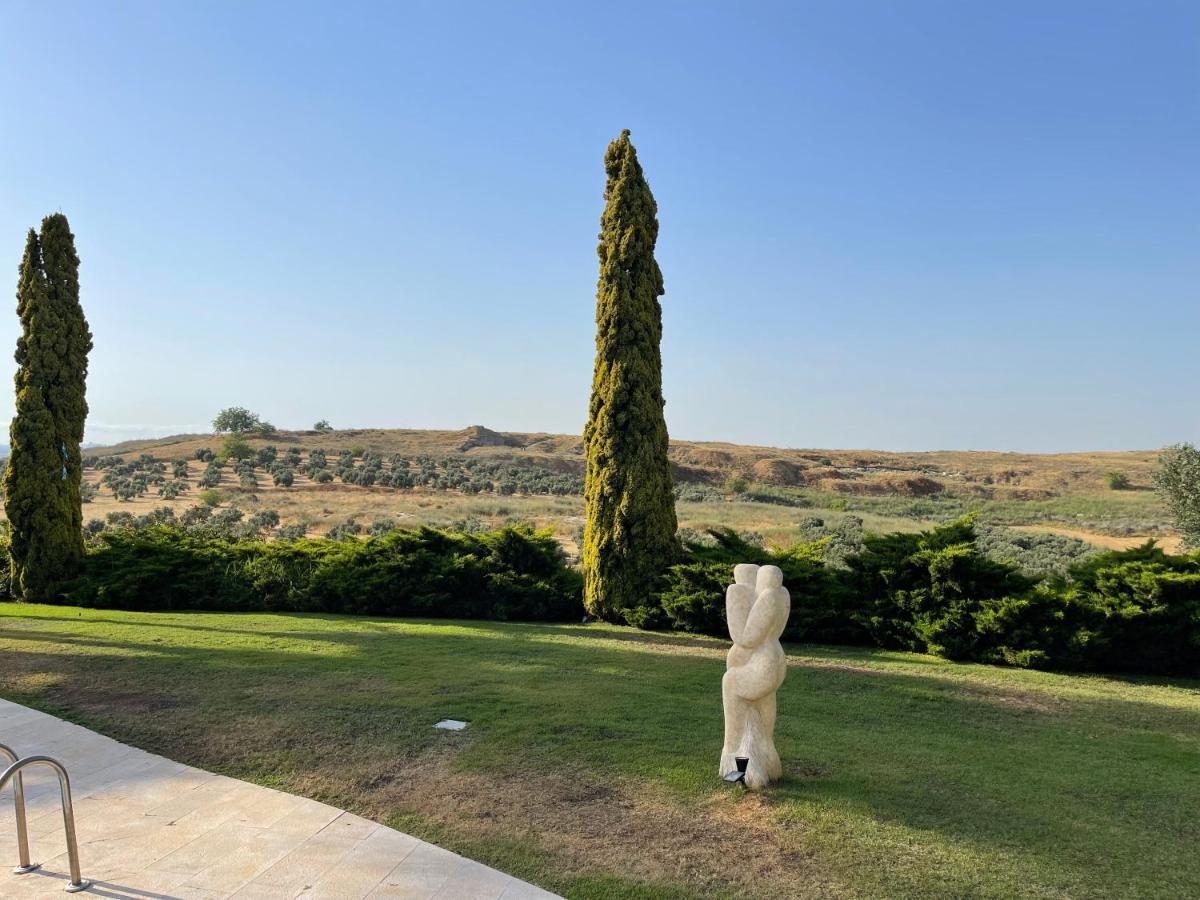 Villa Ba'Gefen Karmei Yosef المظهر الخارجي الصورة